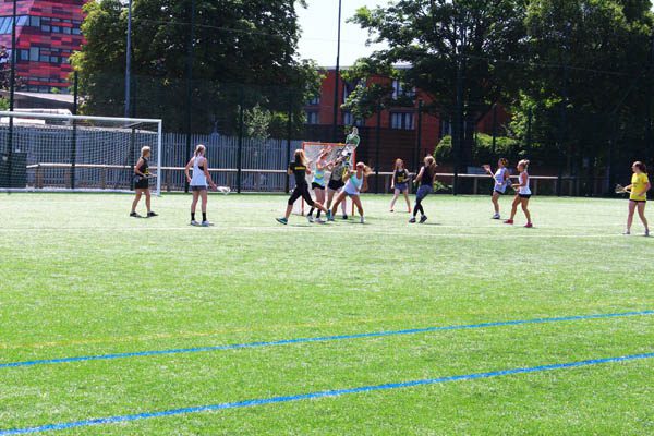 Lacrosse Fencing
