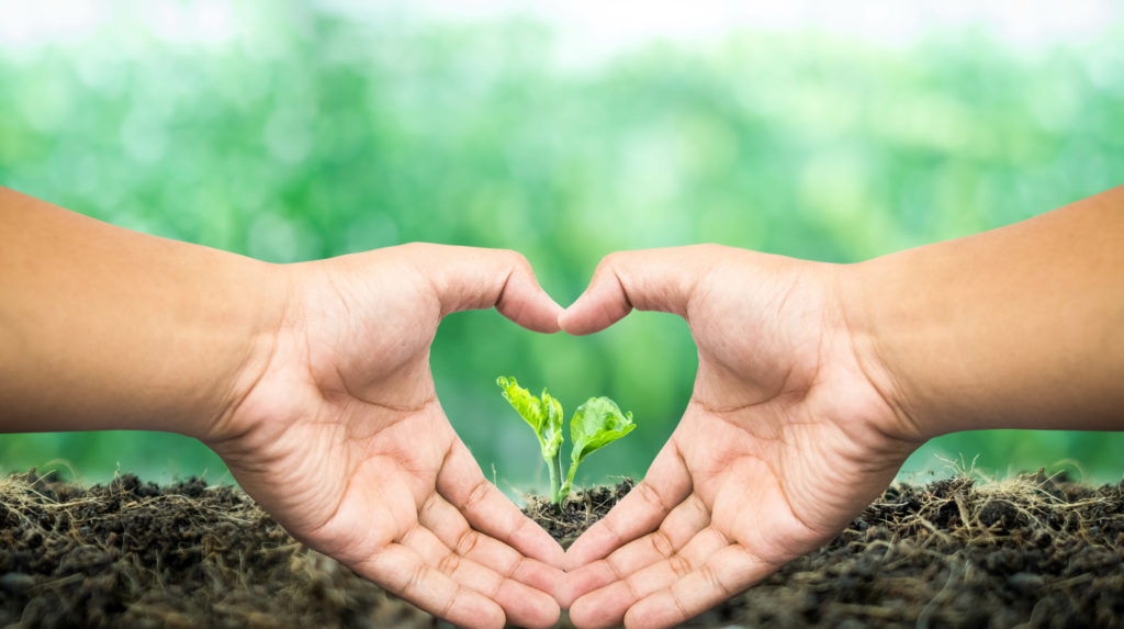 Our Sustainability Statement