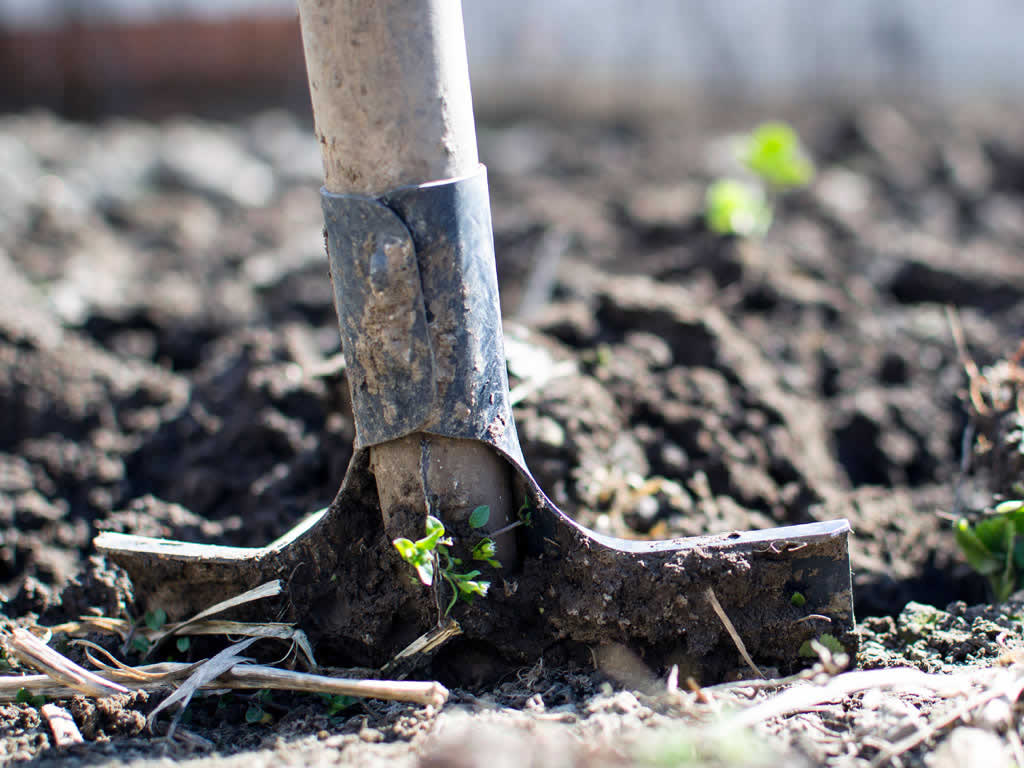 bury under security fencing Prevention