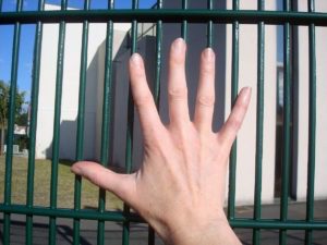 Zaun DualGuard Twin Wire Fencing Dual Wire Fencing Double WIre Fencing SR1 Rated Fencing Bus Depot Fencing