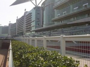 Dubai World Cup Fencing
