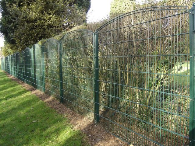 Gemini Convex Decorative Fencing Ornate Fencing Architectural Fencing