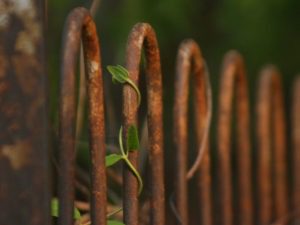 new perimeter fencing solution